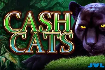 Cash Cats